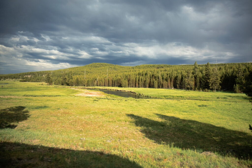 Yellowstone