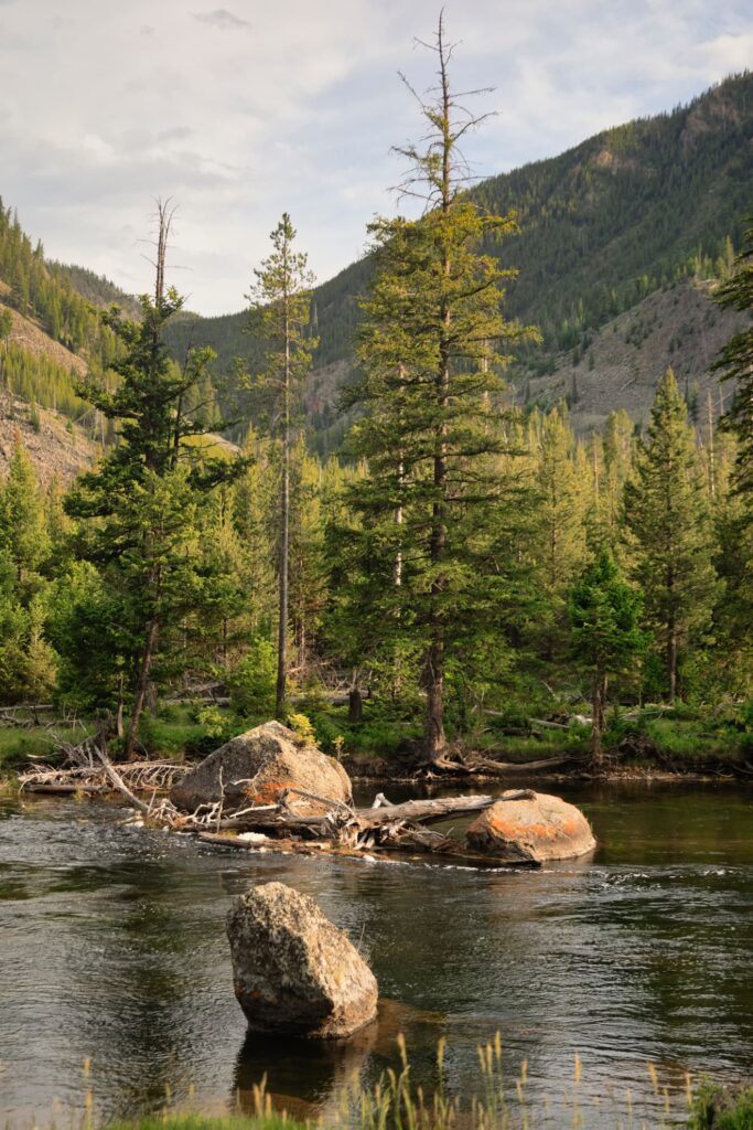 Yellowstone